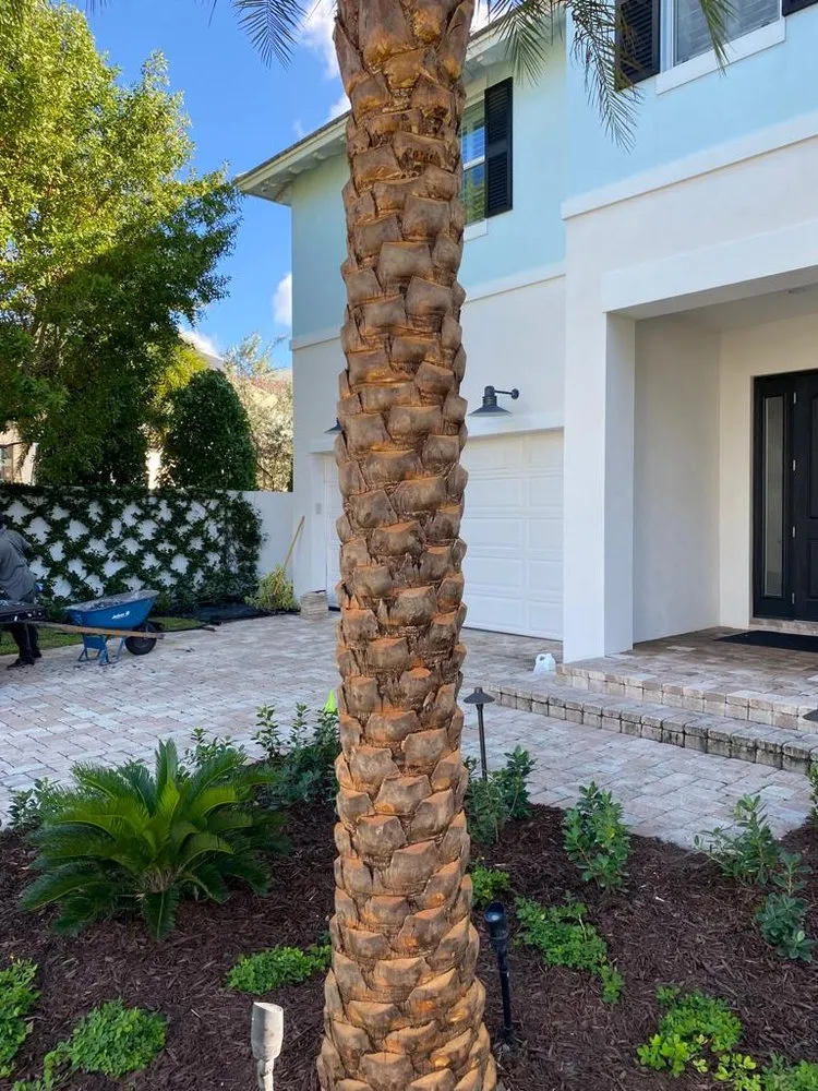 Affordable landscaping services experts serving Boynton Beach, FL - WGF Business