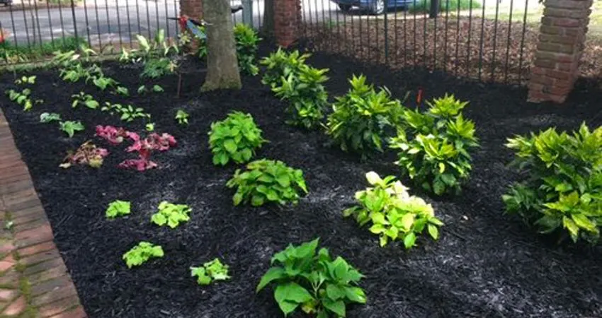 Affordable garden landscaping with custom design across Raleigh, NC - WGW Landscapes