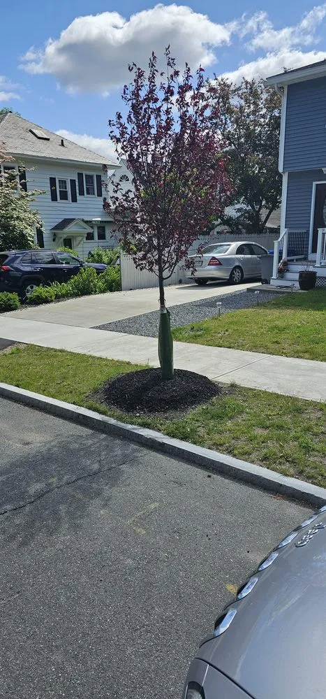 Top-rated lawn care service with custom design in Cohoes, NY by WhaChaNeed