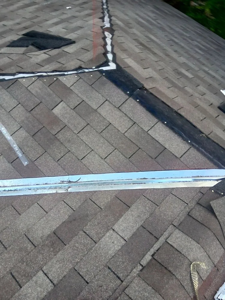 Local yard cleanup service in Port Allen, LA by Whaley and sons