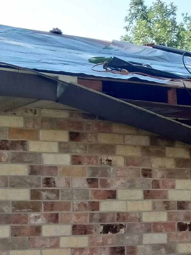 Custom yard cleanup service for year-round maintenance across Port Allen, LA - Whaley and sons