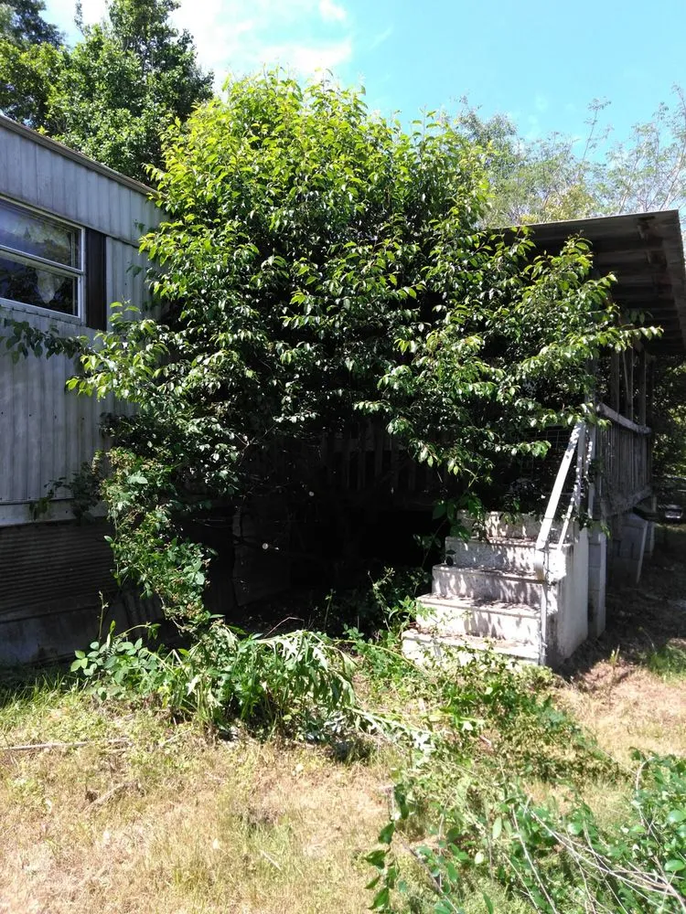 Custom garden landscaping in Pell City, AL by Whaley Construction