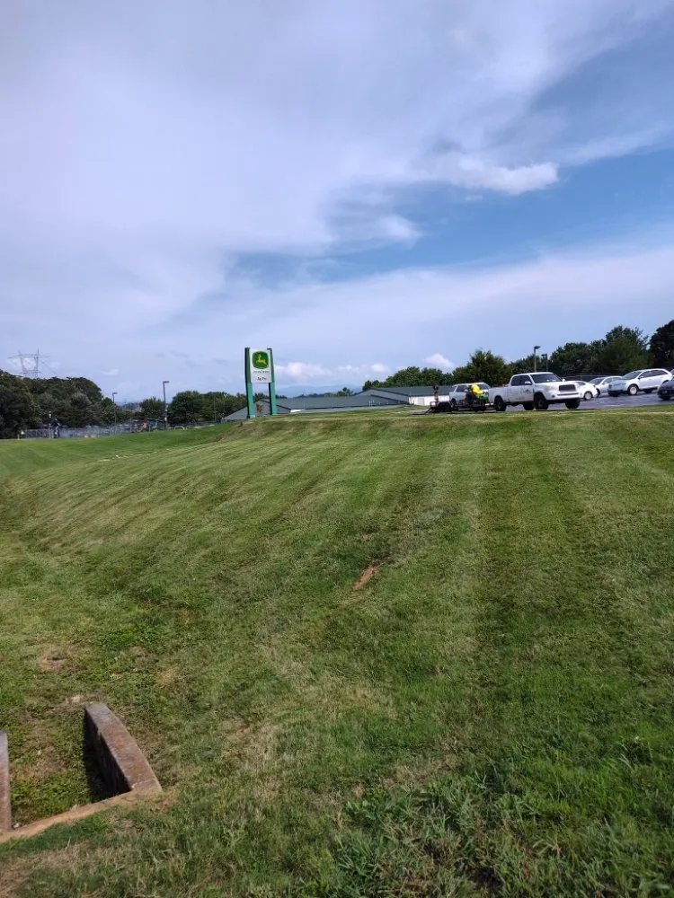 Local landscape installation for homes across Knoxville, TN - Whaley Property Management