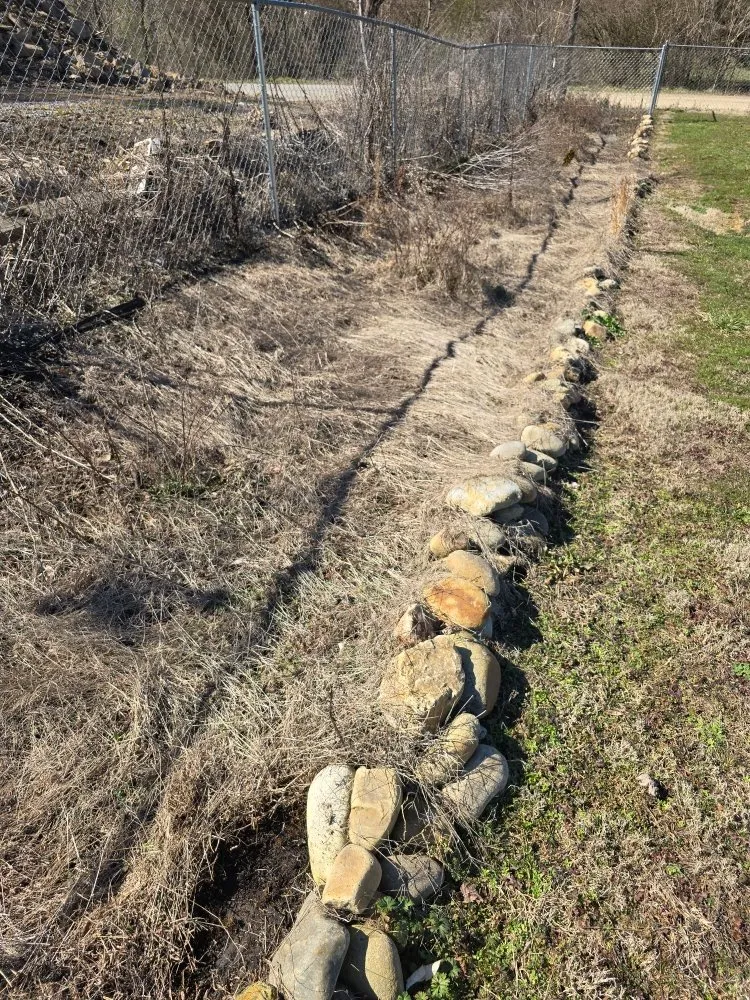 Professional lawn care service in Knoxville, TN - Whaley Property Management