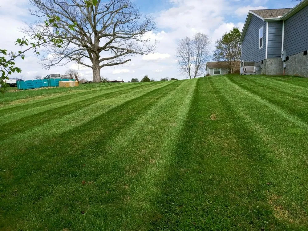 Custom landscape installation for beautiful yards across Knoxville, TN - Whaley Property Management