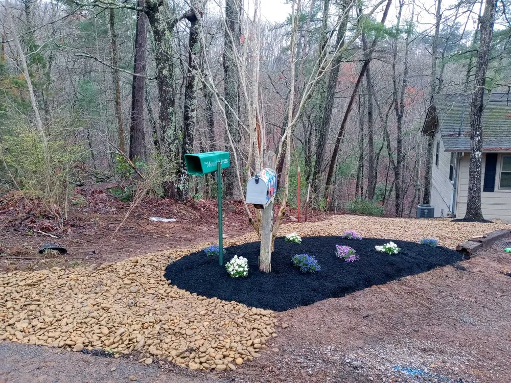 Top-rated yard cleanup service for outdoor upgrades across Knoxville, TN - Whaley Property Management