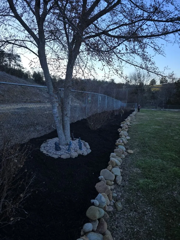 Professional landscaping services near you in Knoxville, TN by Whaley Property Management