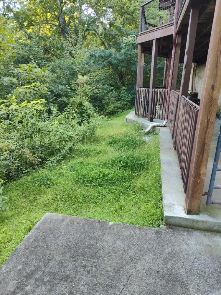 Reliable lawn mowing service for year-round maintenance across Knoxville, TN - Whaley Property Management