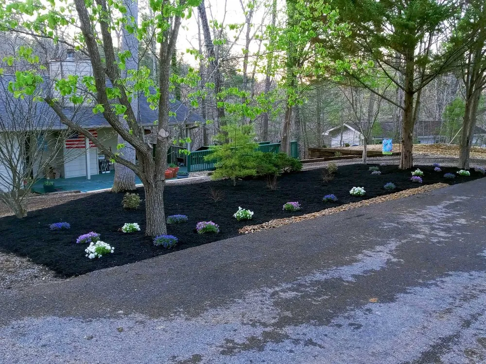 Local outdoor landscaping in Knoxville, TN by Whaley Property Management