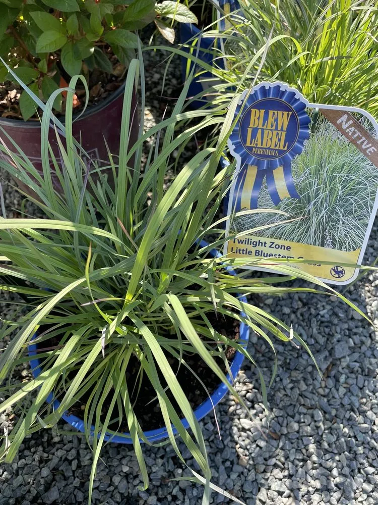 Reliable landscaping services in Rehoboth Beach, DE - Wharton's Garden Center