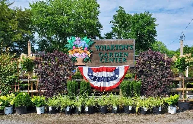 Professional lawn care service experts serving Rehoboth Beach, DE - Wharton's Garden Center