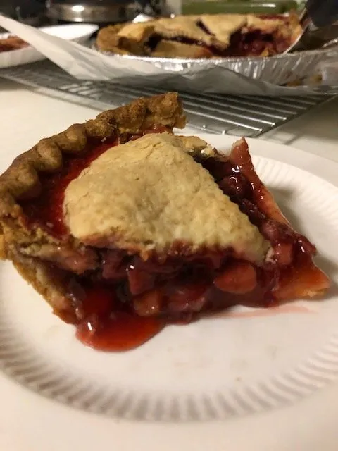 Expert yard maintenance for year-round maintenance in Rehoboth Beach, DE by Wharton's Garden Center