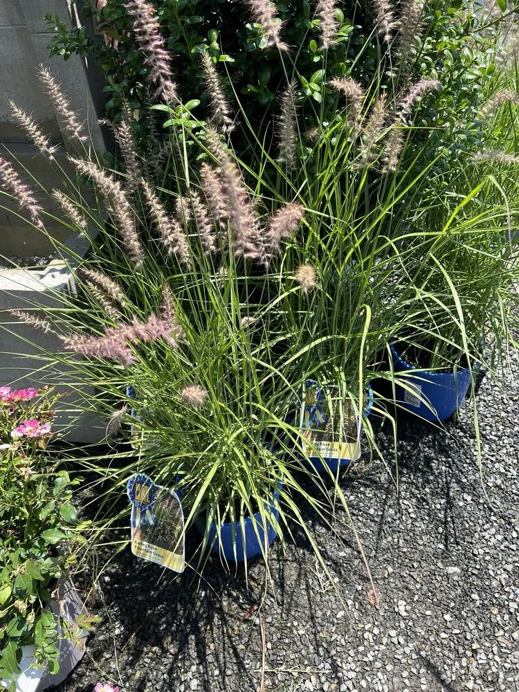 Trusted landscaping services experts serving Rehoboth Beach, DE - Wharton's Garden Center