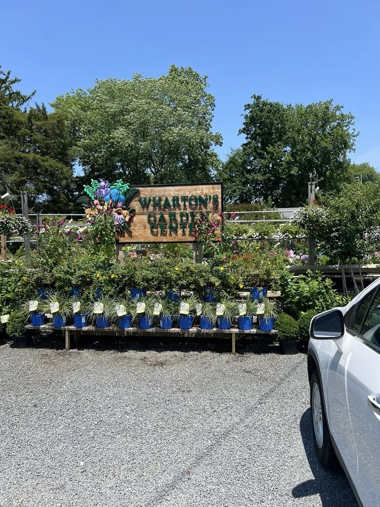 Professional lawn mowing service experts serving Rehoboth Beach, DE - Wharton's Garden Center
