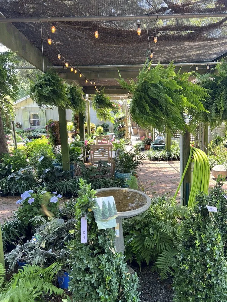 Top-rated lawn care service experts serving Rehoboth Beach, DE - Wharton's Garden Center