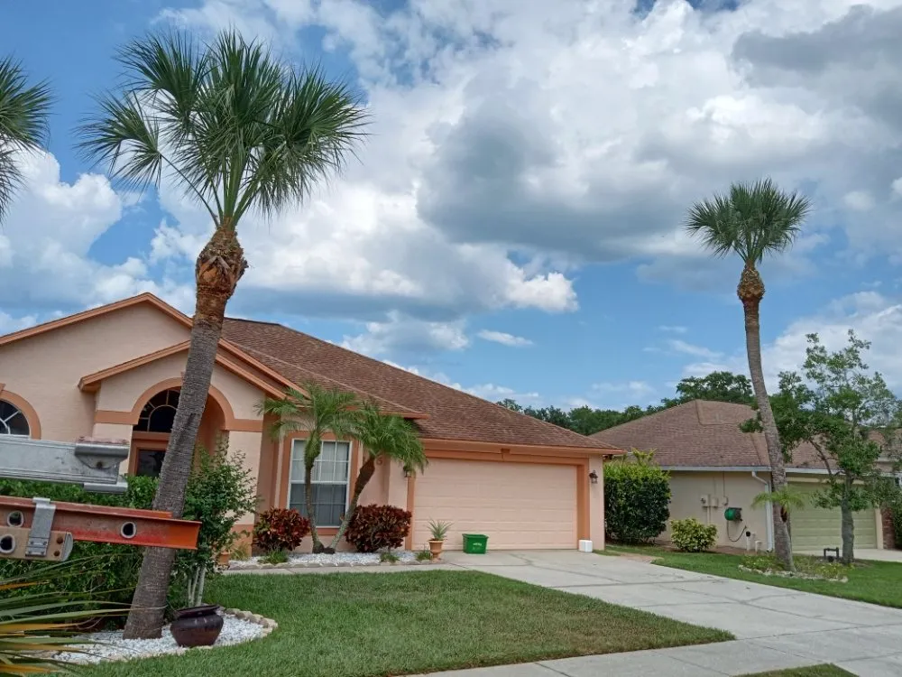 Expert lawn care service in New Smyrna Beach, FL - Wharton's Tree Care