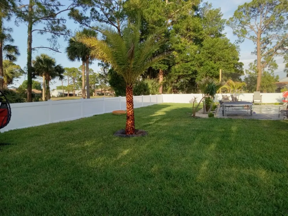 Professional outdoor landscaping in New Smyrna Beach, FL - Wharton's Tree Care