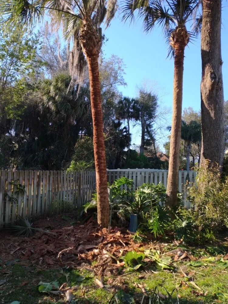 Expert landscape installation in New Smyrna Beach, FL by Wharton's Tree Care