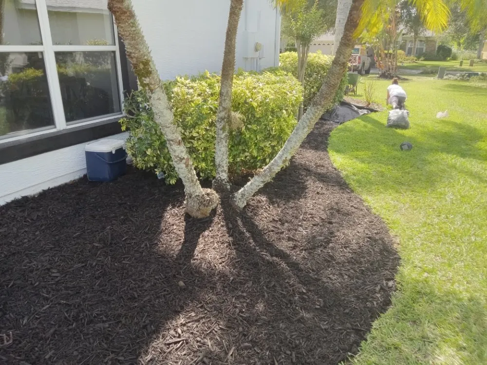 Top-rated yard cleanup service for beautiful yards in New Smyrna Beach, FL by Wharton's Tree Care