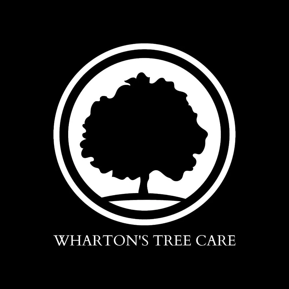 Affordable garden landscaping in New Smyrna Beach, FL by Wharton's Tree Care