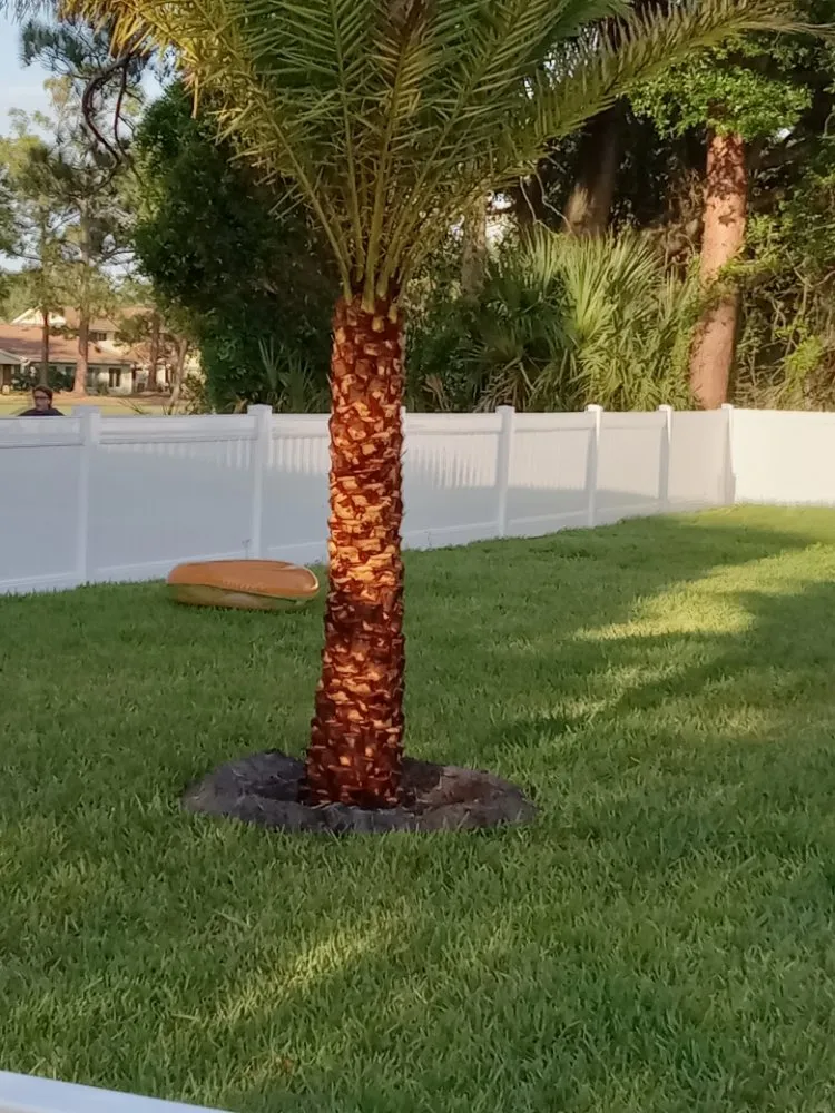 Top-rated lawn care service near you across New Smyrna Beach, FL - Wharton's Tree Care