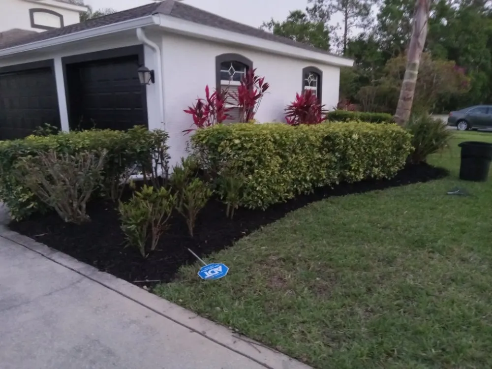 Trusted landscape installation in New Smyrna Beach, FL by Wharton's Tree Care