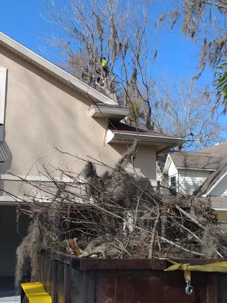 Affordable landscape design experts serving New Smyrna Beach, FL - Wharton's Tree Care