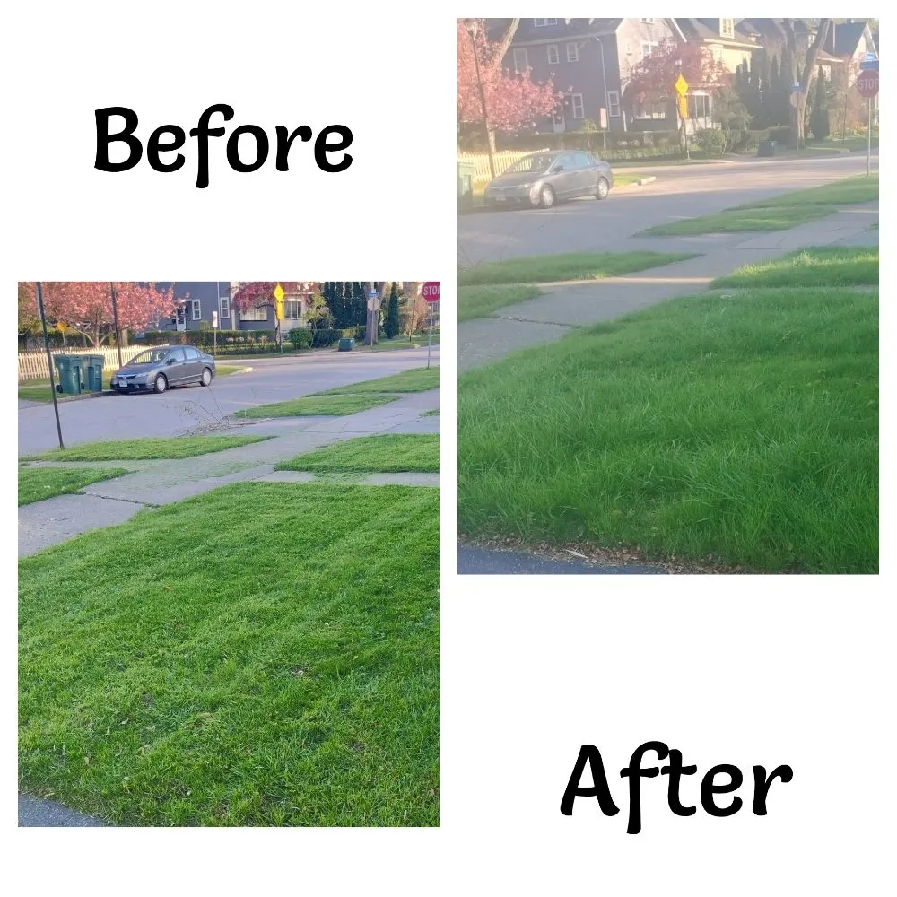 Affordable residential landscaping experts serving Rochester, NY - What Eva You Dezyaire Landscaping