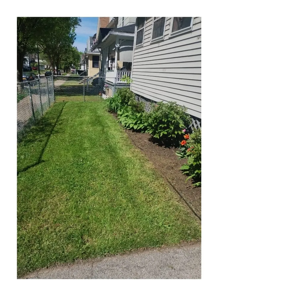 Expert landscape installation for beautiful yards in Rochester, NY by What Eva You Dezyaire Landscaping
