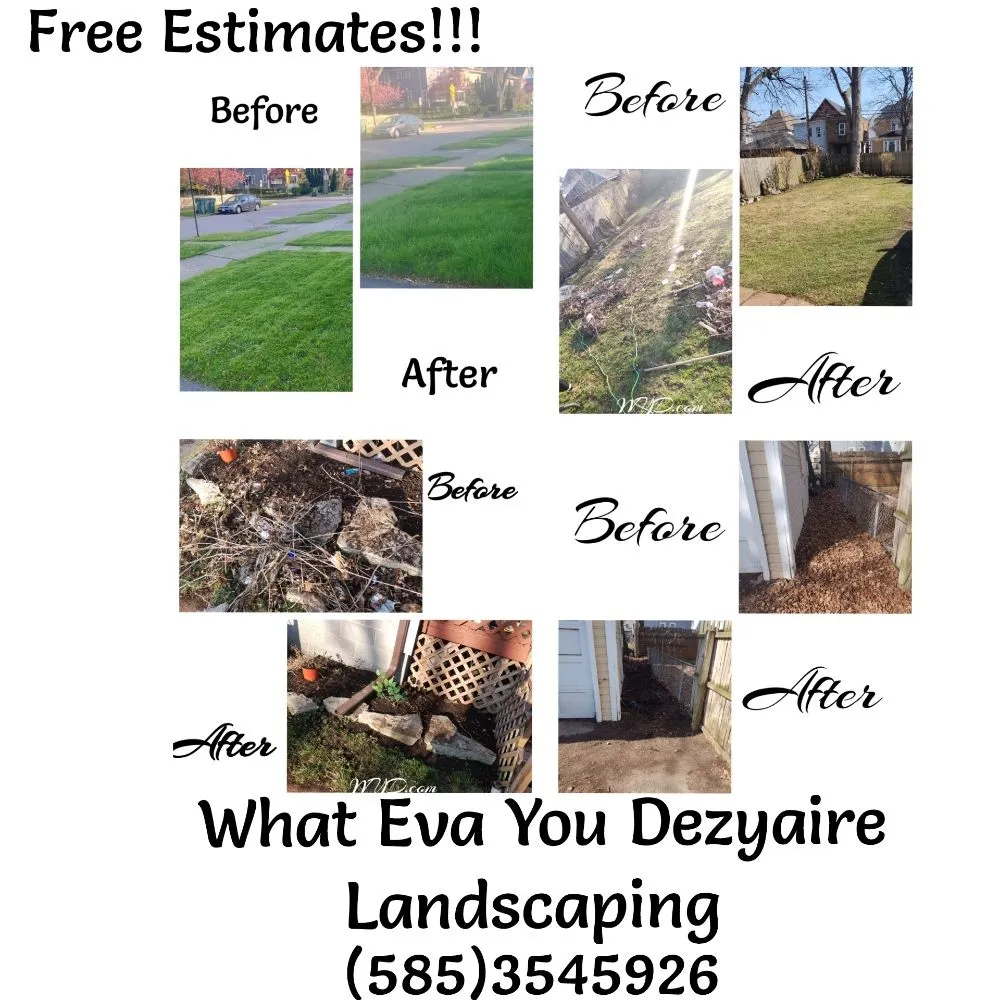 Top-rated lawn care service near you in Rochester, NY by What Eva You Dezyaire Landscaping