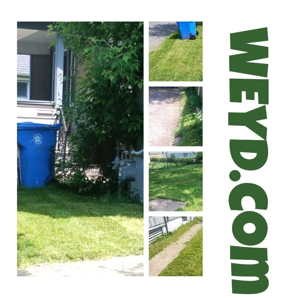 Custom yard cleanup service for outdoor upgrades in Rochester, NY by What Eva You Dezyaire Landscaping