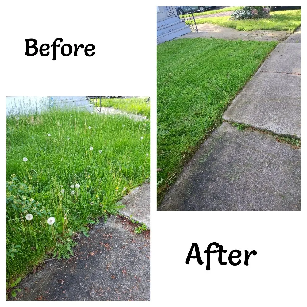 Trusted residential landscaping in Rochester, NY - What Eva You Dezyaire Landscaping