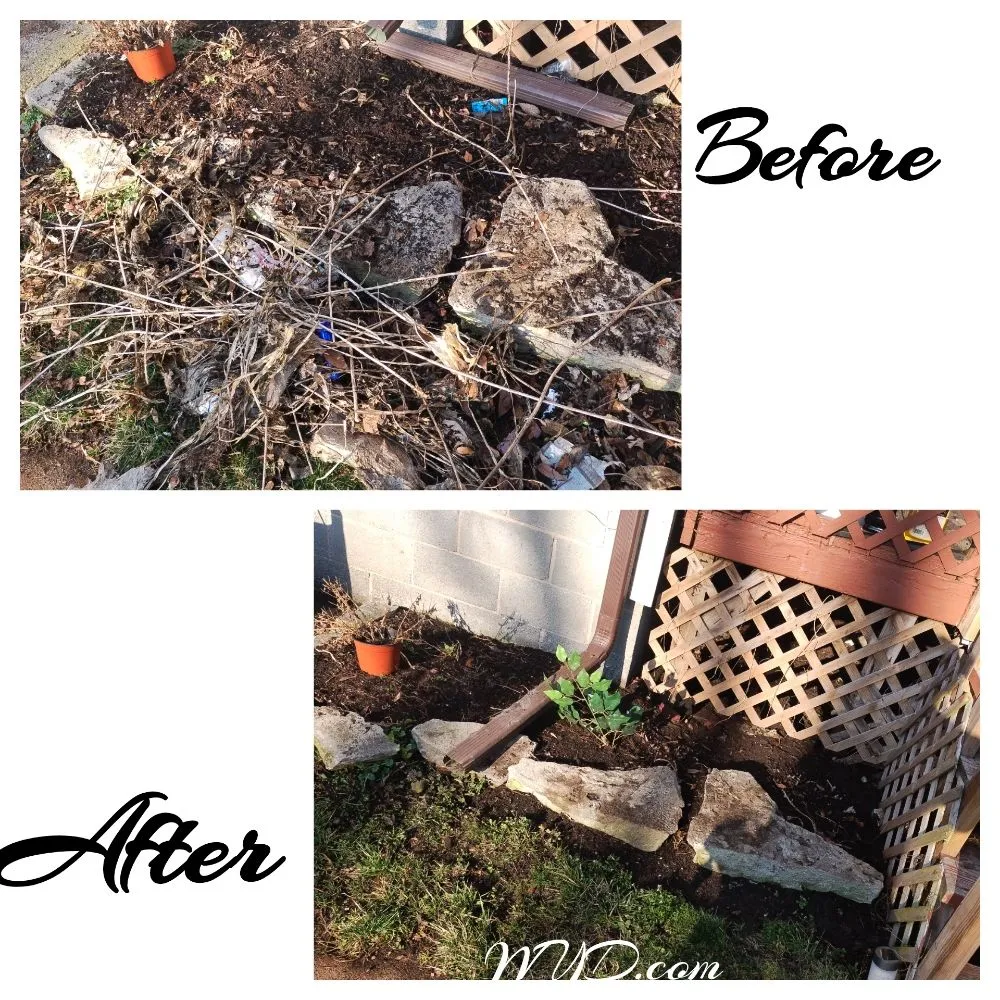 Custom garden landscaping in Rochester, NY - What Eva You Dezyaire Landscaping