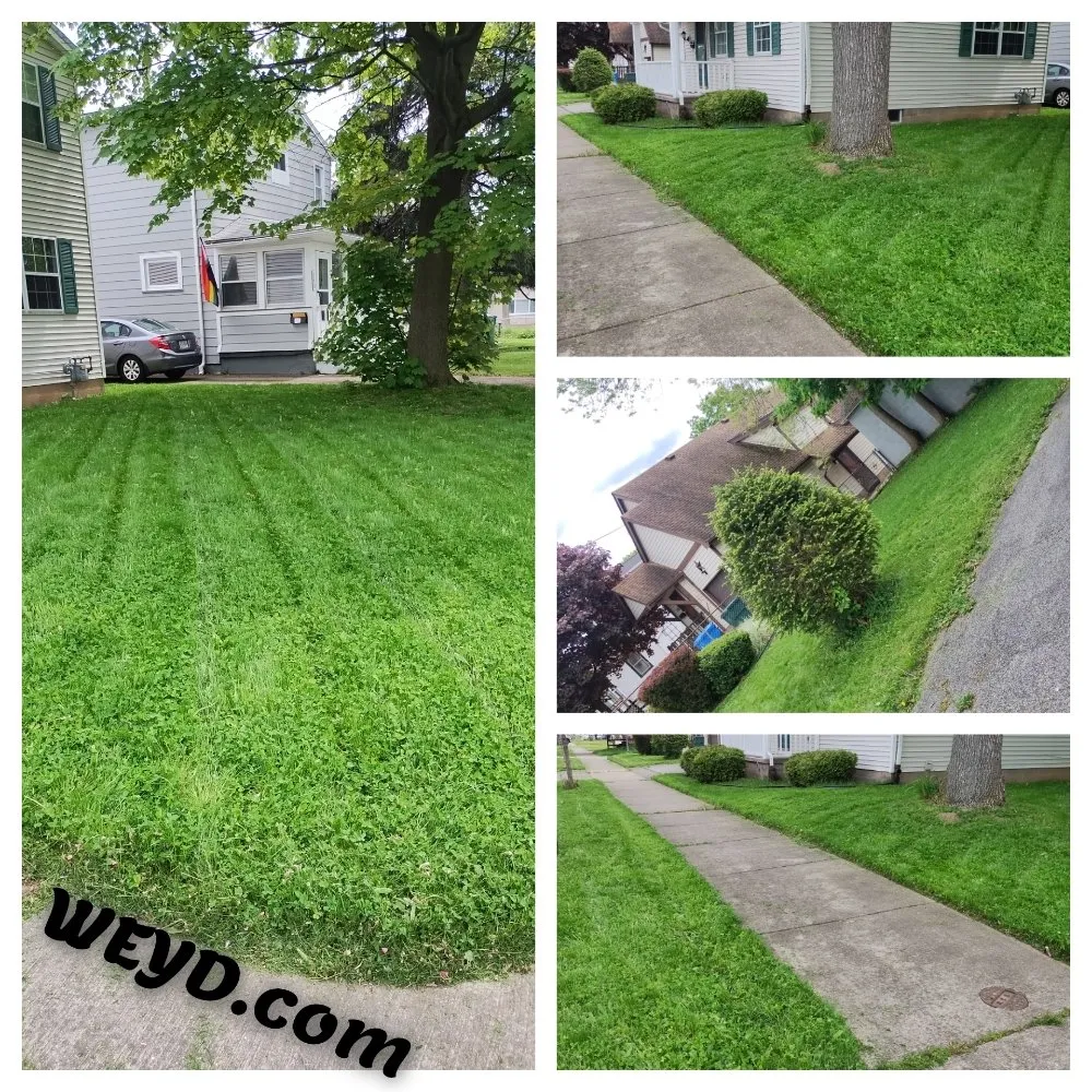 Top-rated residential landscaping in Rochester, NY - What Eva You Dezyaire Landscaping