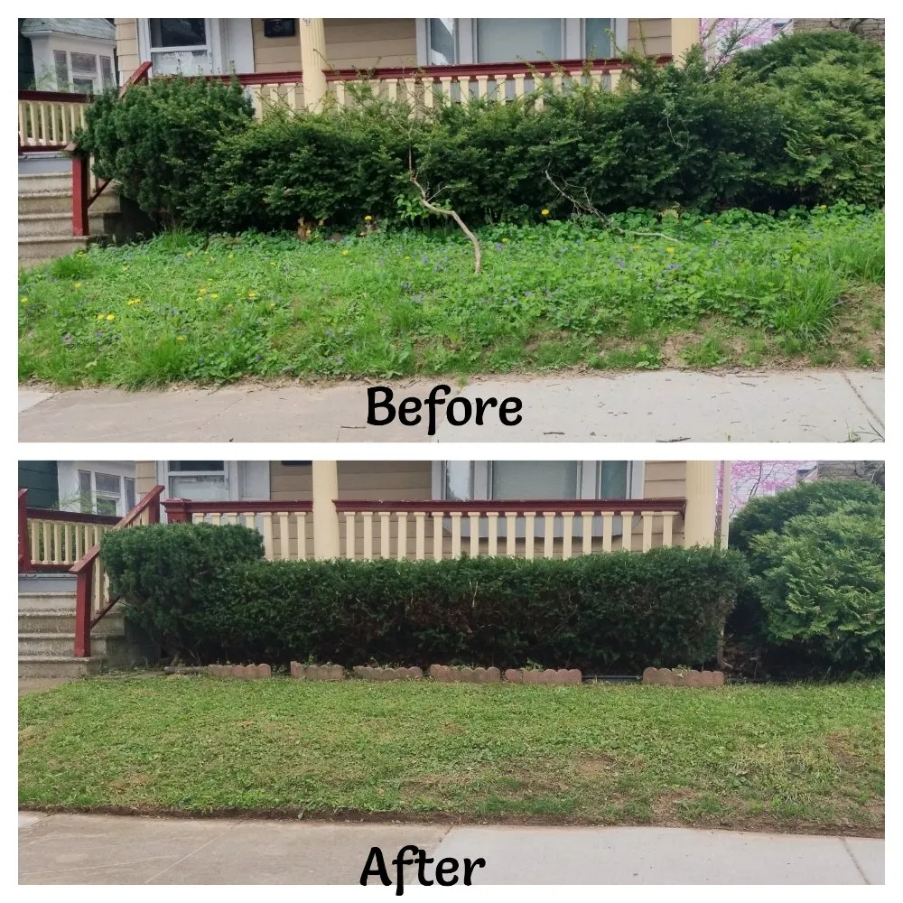 Expert yard cleanup service in Rochester, NY by What Eva You Dezyaire Landscaping