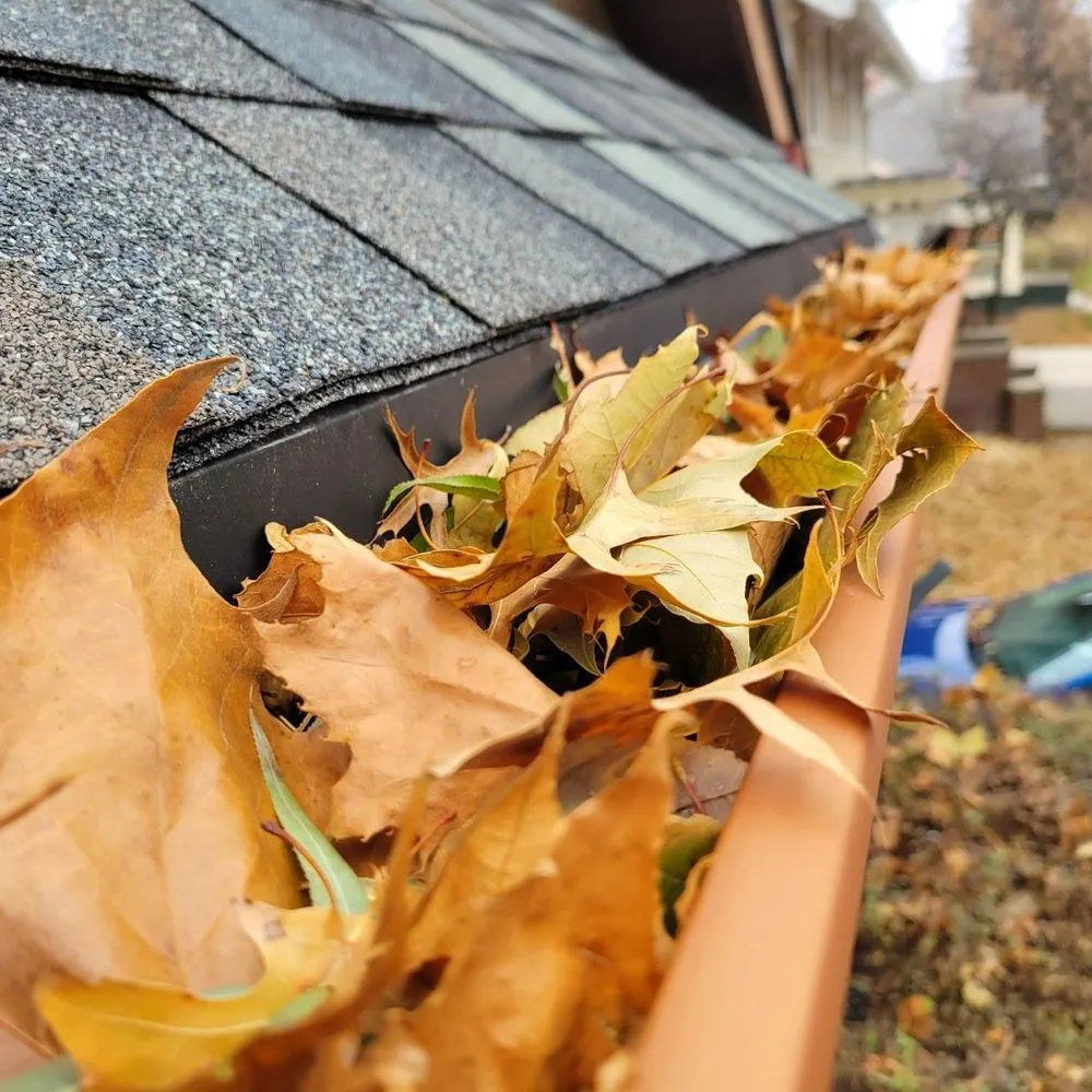 Trusted outdoor landscaping in West Des Moines, IA by What The Tree