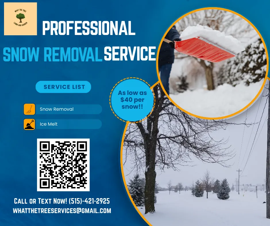 Expert yard maintenance in West Des Moines, IA by What The Tree