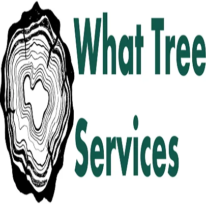 Reliable garden landscaping for homes in Haiku, HI by What Tree Services