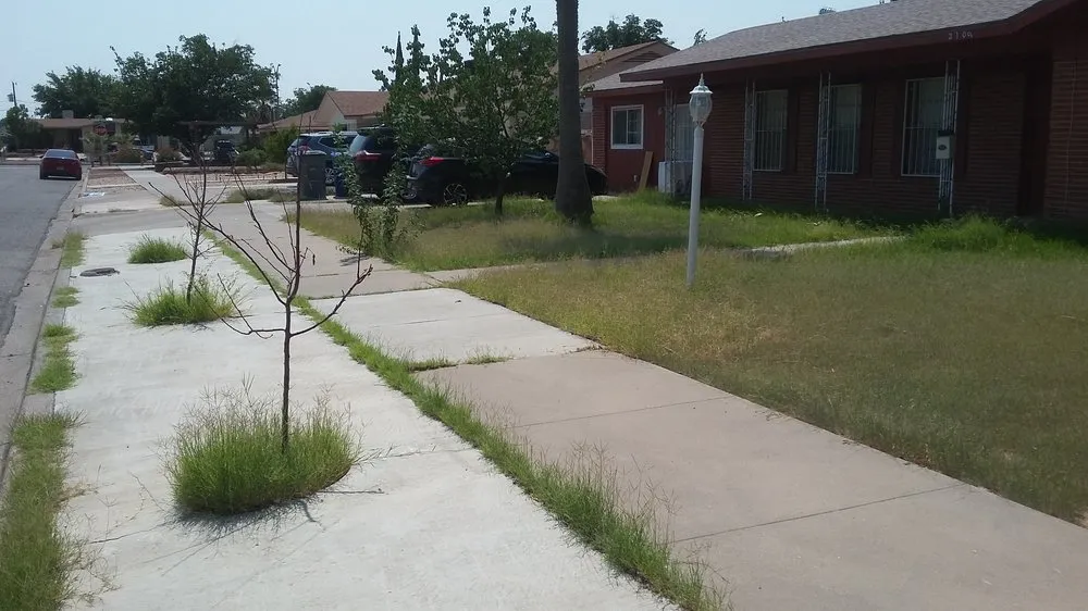 Affordable lawn mowing service in El Paso, TX by What U Want construction