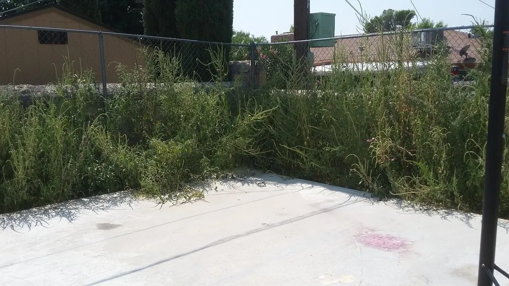 Local outdoor landscaping near you in El Paso, TX by What U Want construction