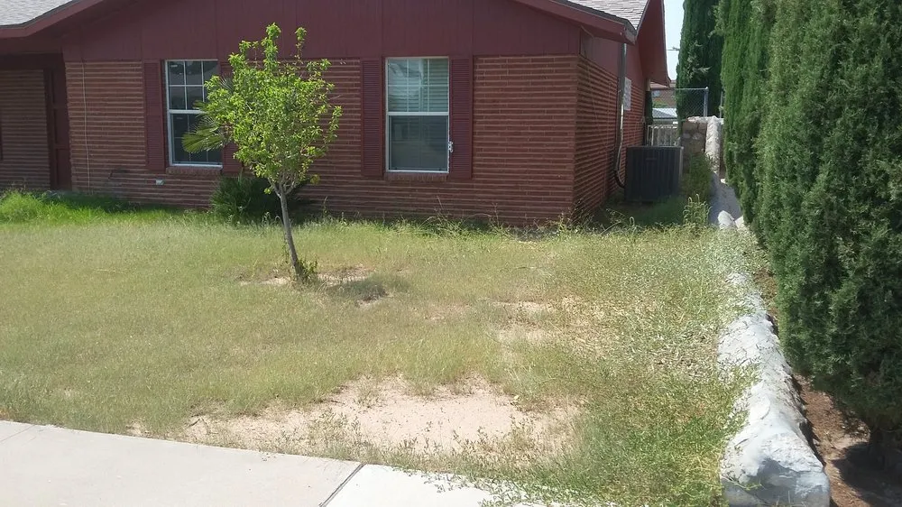 Expert yard cleanup service for homes in El Paso, TX by What U Want construction