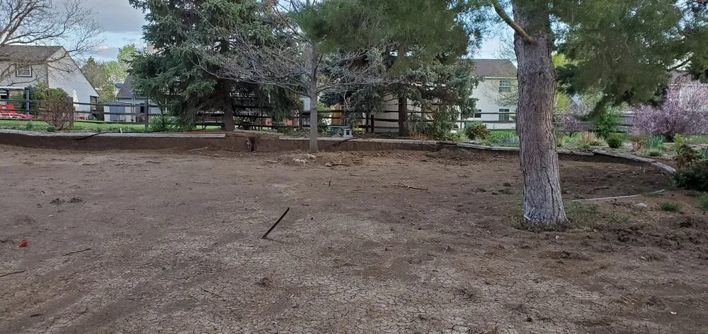 Affordable lawn mowing service in Littleton, CO by What We Do