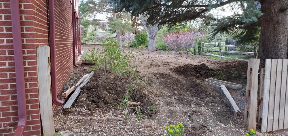 Affordable landscape installation in Littleton, CO - What We Do