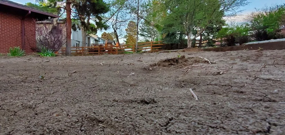 Professional lawn mowing service for residential properties in Littleton, CO by What We Do