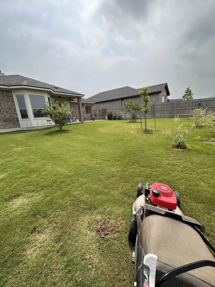 Affordable garden landscaping for beautiful yards in Georgetown, TX by Whatcha Need