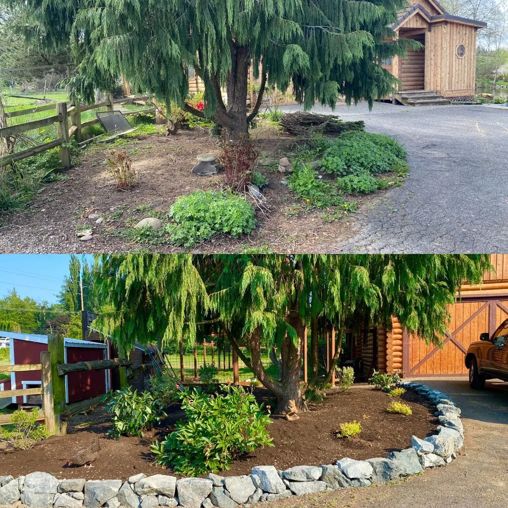 Expert yard maintenance experts serving Lynden, WA - Whatcom Landscapes