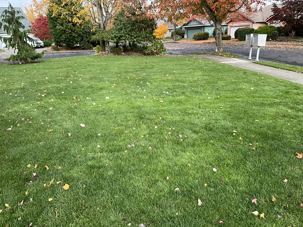Local landscape installation for residential properties in Lynden, WA by Whatcom Lawns
