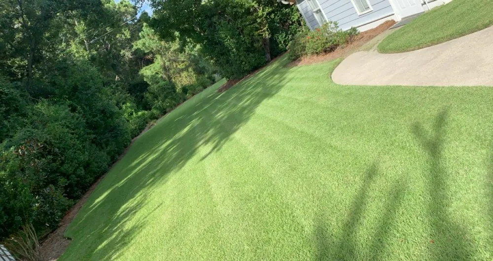 Reliable yard cleanup service experts serving Hanahan, SC - Whatever you want