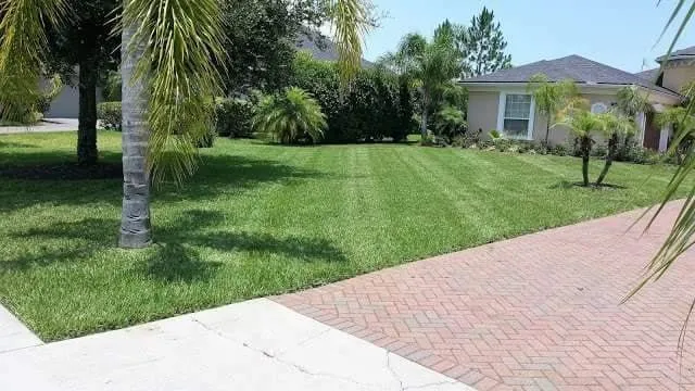 Expert yard cleanup service for residential properties in St. Augustine, FL by Whatley Landscapes