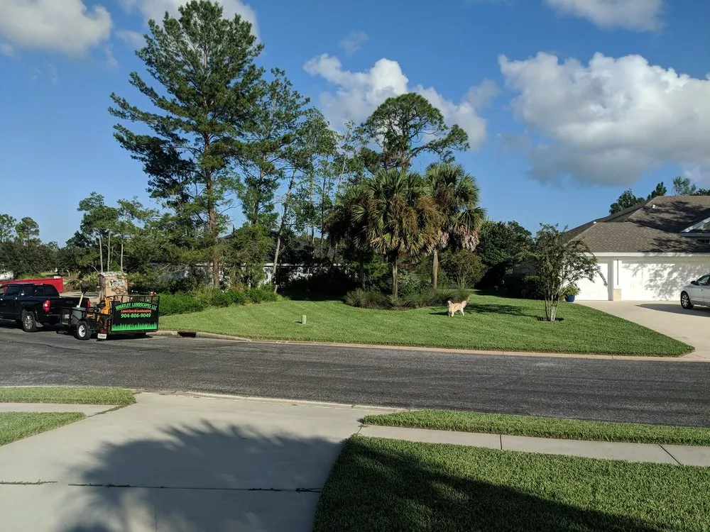 Affordable yard cleanup service for outdoor upgrades across St. Augustine, FL - Whatley Landscapes